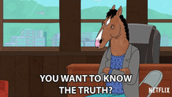 You Can't Handle The Truth BoJack Horseman GIF