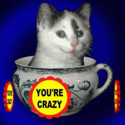 You Crazy Sticker Cute Cat Tongue Out   GIF