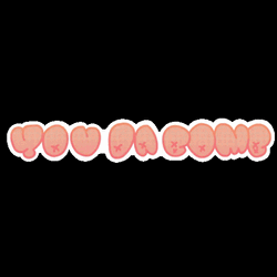 You Da Bomb Pink Bubble Text GIF