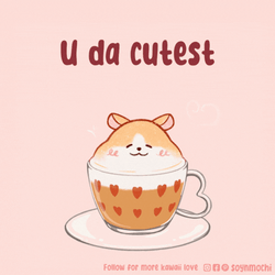 You Da Bomb U The Cutest Fluffy Hamster GIF