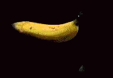 You Didn't Have To Cut Me Off Severed Banana GIF