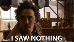 You Didn't See Anything Brent Roam GIF
