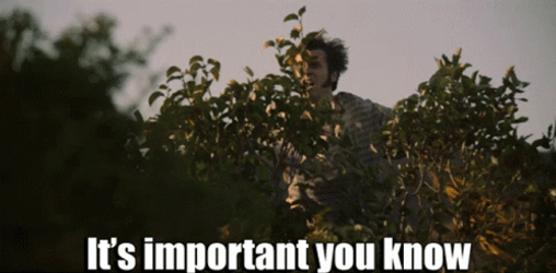 You Didn't See Anything Comedy Central GIF