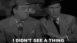 You Didn't See Anything Lou Costello GIF