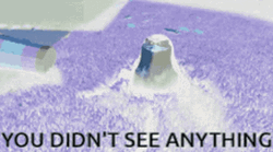 You Didn't See Anything Pigeon GIF
