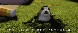 You Didn't See Anything Porgs Hiding GIF