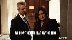 You Didn't See Anything GIF