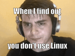 You Don't Use Linux Meme