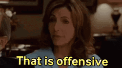You Dont Say That Is Offensive GIF