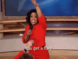 You Get A Red Flag GIF