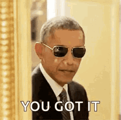 You Got It Barrack Obama GIF