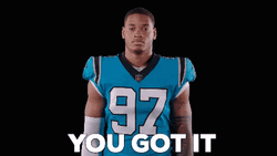 You Got It Carolina Panthers GIF