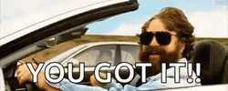 You Got It Zach Galifianakis GIF