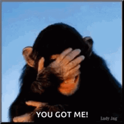You Got Me Monkey Face Palm GIF
