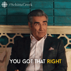 You Got That Right Johnny Rose GIF