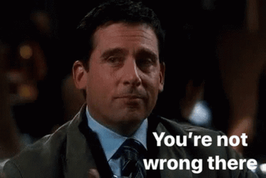 You Got That Right Michael Scott Winks GIF