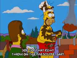 You Got That Right Muddy Homer Simpson GIF