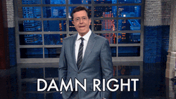 You Got That Right Presenter Stephen Colbert GIF