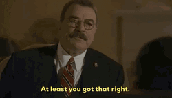 You Got That Right Tom Selleck GIF