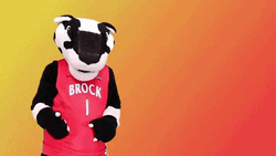 You Got This Brock Badgers Mascot
