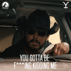 You Gotta Be Kidding Me Rip Yellowstone GIF