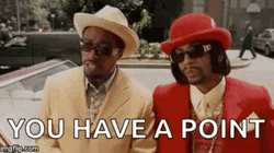 You Have A Point Pimp GIF