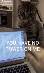 You Have No Power Here GIF