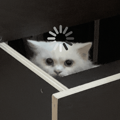You Have Successfully Wasted 10 Seconds GIF