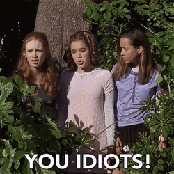 You Idiots Baby Sitter's Club GIF