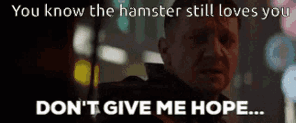 You Know Hamster GIF