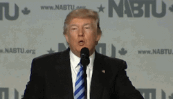 You Know It American President Donald Trump GIF