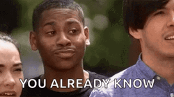 You Know It Sarcastic Reaction GIF