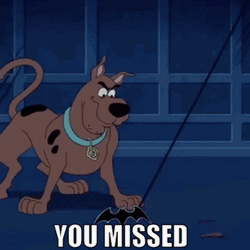 You Missed Scooby Doo GIF