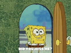 You Missed SpongeBob GIF