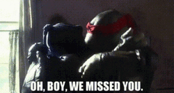 You Missed Turtle Friends GIF