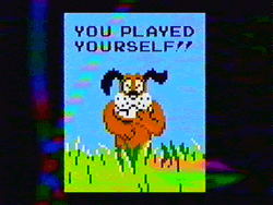 You Played Yourself Duck Hunt GIF