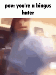 You're A Bingus Hater GIF
