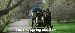 You're A Spring Chicken