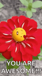 You're Awesome Emoji Flower GIF