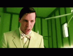 You're Fired Cat In The Hat GIF