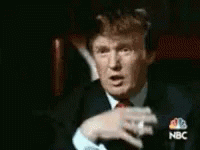 You're Fired Donald Trump GIF