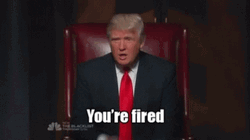 You're Fired Donald Trump GIF