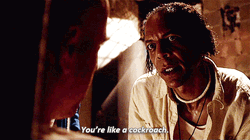 You're Like A Cockroach GIF