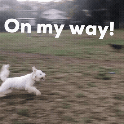 You're My Absolute Favorite Nerd Valentine Card GIF