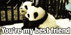 You're My Best Friend Panda