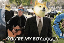 You're My Boy Blue Dogecoin GIF