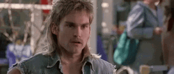 You're My Boy Blue Seann William Scott GIF