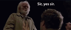 You're My Boy Blue Sir Yes Sir GIF