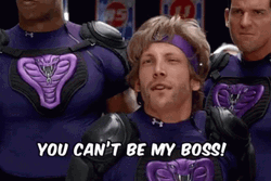 You're Not My Supervisor I'm My Own Boss GIF