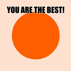 You're Simply The Best Orange Circle GIF